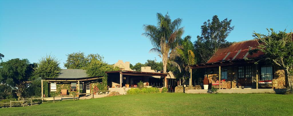 Plettenberg Bay Game Reserve: The Baroness Safari Lodge ภายนอก รูปภาพ