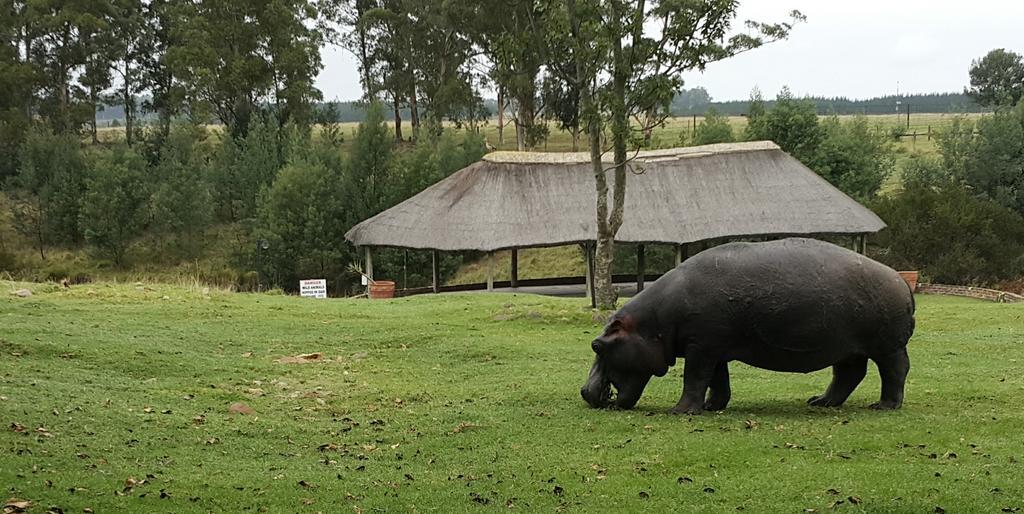Plettenberg Bay Game Reserve: The Baroness Safari Lodge ภายนอก รูปภาพ